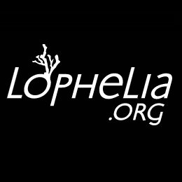 Visit Lophelia.org - Cold-water, deep-sea and deep-water coral resource. http://www.lophelia.org/